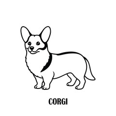 Obraz premium Corgi Dog Vector Illustration in Cute and Playful Style