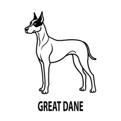 Obraz premium Elegant Great Dane Dog Vector Art for Pet and Animal Designs.