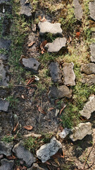 Natural Stone Pathway with Green Grass