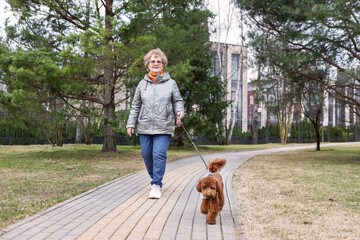 Happy senior woman walking small brown dog in city park, enjoying fresh air, wearing warm jacket and scarf, promoting healthy active aging and joyful outdoor lifestyle