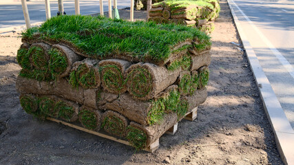 Stacked sod rolls of fresh green grass with soil layers arranged on wooden pallets at landscaping...