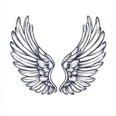 Obraz premium Design of wings with feathers icon logo illustration isolated on white background