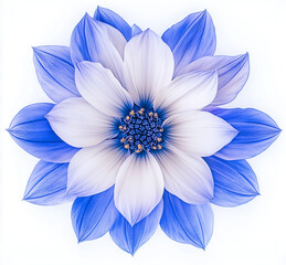 Fototapeta premium Large blue and white flower with intricate petals and delicate details on a plain background
