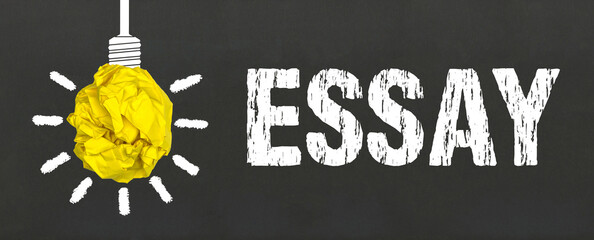 Essay	

