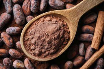 Top-down view of a wooden spoon filled with rich cocoa powder, surrounded by cocoa beans and cinnamon sticks.