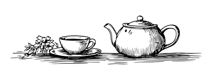 tea time still life with teapot, cup and herbs – cozy vintage sketch