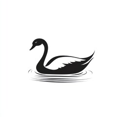 Elegant Swan Design