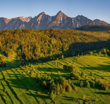 Pieniny and High Tatra Mountains in Slovakia, Central Europe with meadow from Osturna village. Mountain range in Slovakia, Belianske Tatry, Zamagurie.