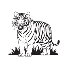 Tiger vector illustration on white background with cartoon wild animal features