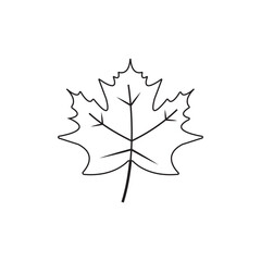 Graceful maple leaf outline icon in vector format for autumn designs on white background. EPS10