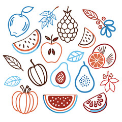 Fototapeta premium Illustration of fresh fruit — hand-drawn vector elements
