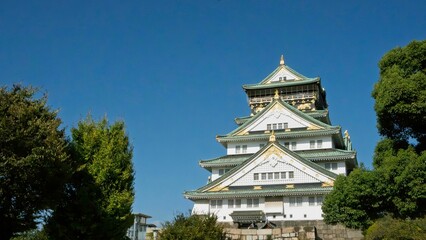 Obraz premium Osaka Castle with lush greenery and clear sky.