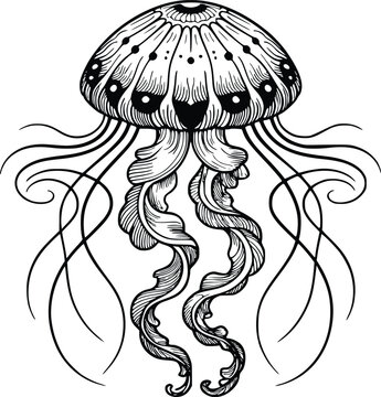 Jellyfish SVG