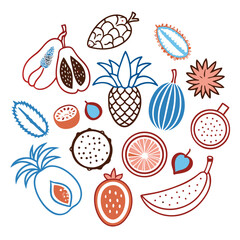 Illustration of fresh fruit — hand-drawn vector elements
