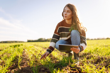 Young female farmer with a digital tablet inspects young plants in an agricultural field. Female...