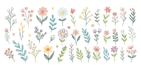 Spring crayon kid flower illustration with hand-drawn wildflowers