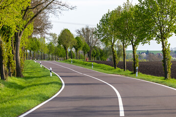 Eine Bundesstraße mit einer Allee an Bäumen im Frühling