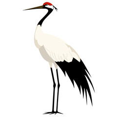 Obraz premium crane, animal, vector, transparent background