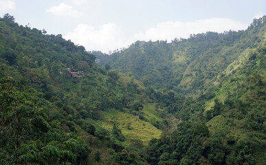 Fototapeta premium rice fields in the area of ella