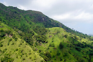 Obraz premium scenic green mountain landscape in sri lanka
