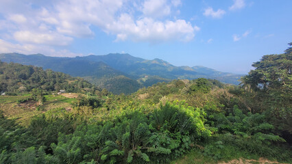 scenic green mountain landscape in sri lanka