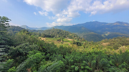 Obraz premium scenic green mountain landscape in sri lanka