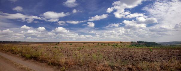 Beautiful clouds float along the field.Chernozem lands of the central zone of Ukraine.