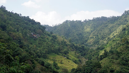 rice fields in the area of ella