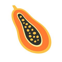 Papaya fruit hand drawn vector illustration