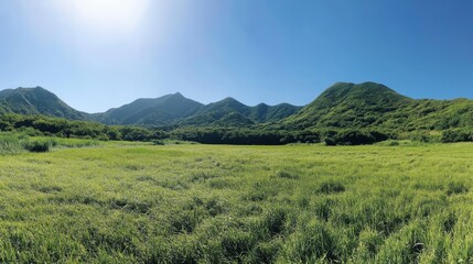 Obraz premium Sunny Green Meadow with Blue Sky and Distant Mountains
