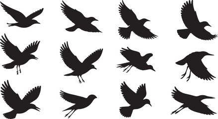 Obraz premium Vector Illustration of Various Flying Birds for Nature, Wildlife, and Environmental Art Projects Featuring Different Bird Shapes in Flight