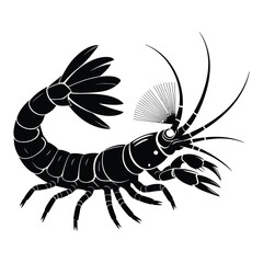 Obraz premium Mantis shrimp striking Silhouette, Vector, Icon, Logo, White Background.