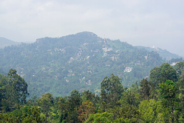 Naklejka premium scenic green mountain landscape in sri lanka