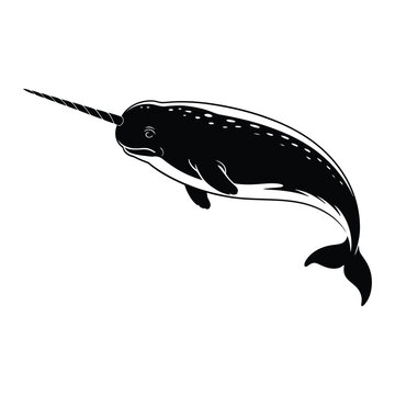 black narwhal swimming on white background clip art preview