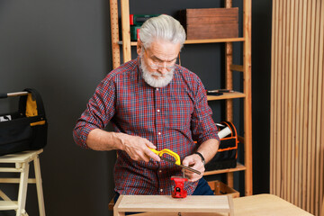 Relaxing hobby. Senior man with hacksaw and vise assembling wooden shelf in workshop