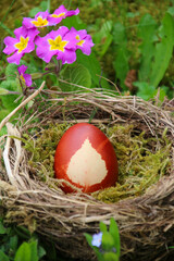 Ostereiei Färben mit Zwiebelschalen   im nest