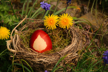 Ostereiei Färben mit Zwiebelschalen   im nest