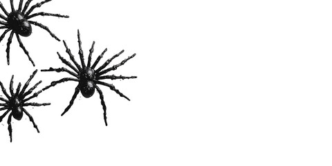 Black Spider Silhouettes. Halloween Decoration And Spooky Theme Isolated On Transparent Background