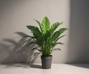 Fototapeta premium Open magazine on background with realistic plant shadows, editable, organic, nature