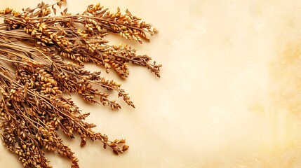 Artistic wheat arrangement on a textured beige background for graphic design