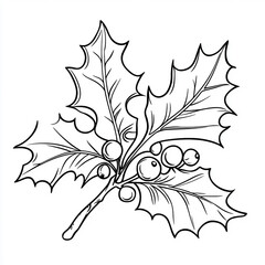 Holly Leaves and Berries Line Drawing Illustration