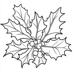 Holly Leaves and Berries Line Drawing Illustration