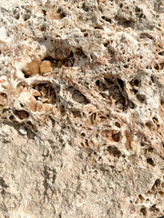 Rock formation with unique texture found on a sunny day near the coastline