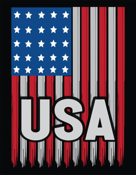 USA flage illustration vector .