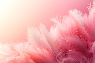 PINK FEATHERS: Some soft, pink feathers against a pastel pink gradient background, creating a pink color scheme and fluffy, textured pattern.