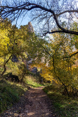 Otoño en el cañon