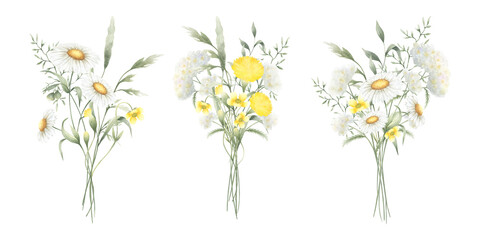 Bouquets floral of watercolor wildflowers chamomile, dandelion, yarrow, buttercup and meadow grasses isolated from background. Hand drawn illustration set of yellow white flowers for fabric, postcard.