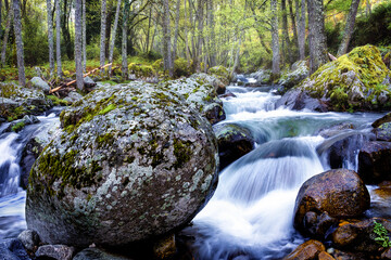Primavera en el rio Iruelas
