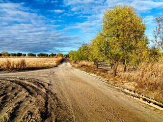 Ramal en el camino