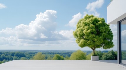 Modern Patio with Lush Trees, Panoramic View